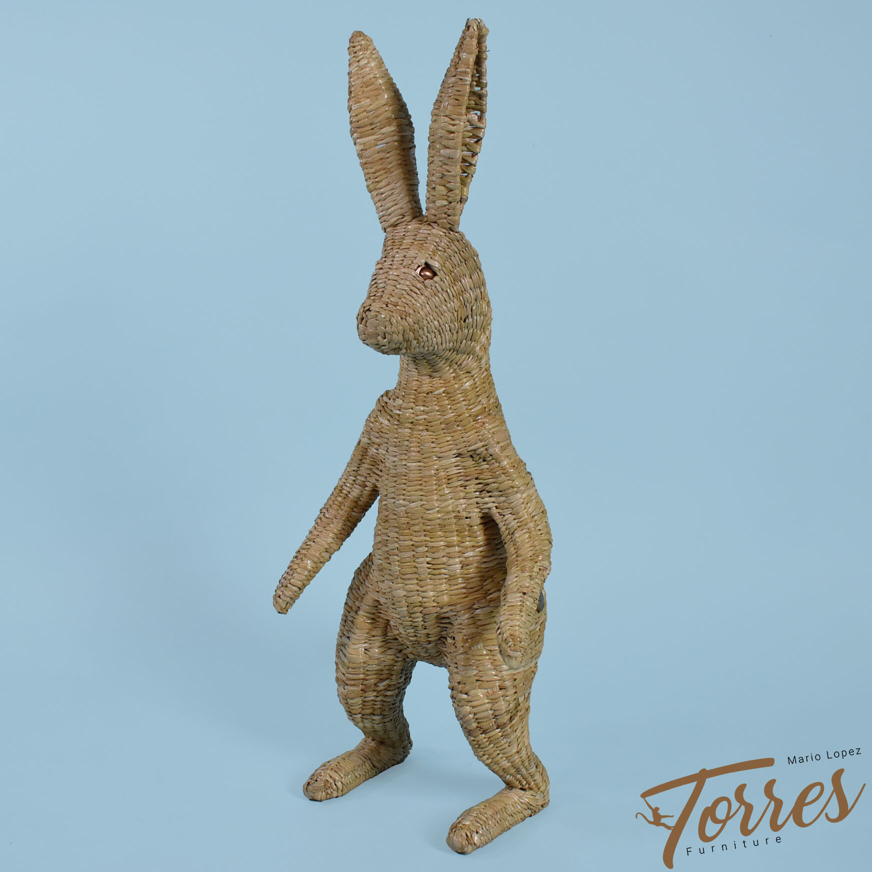Rabbit by Mario Lopez Torres - Mario Lopez Torres