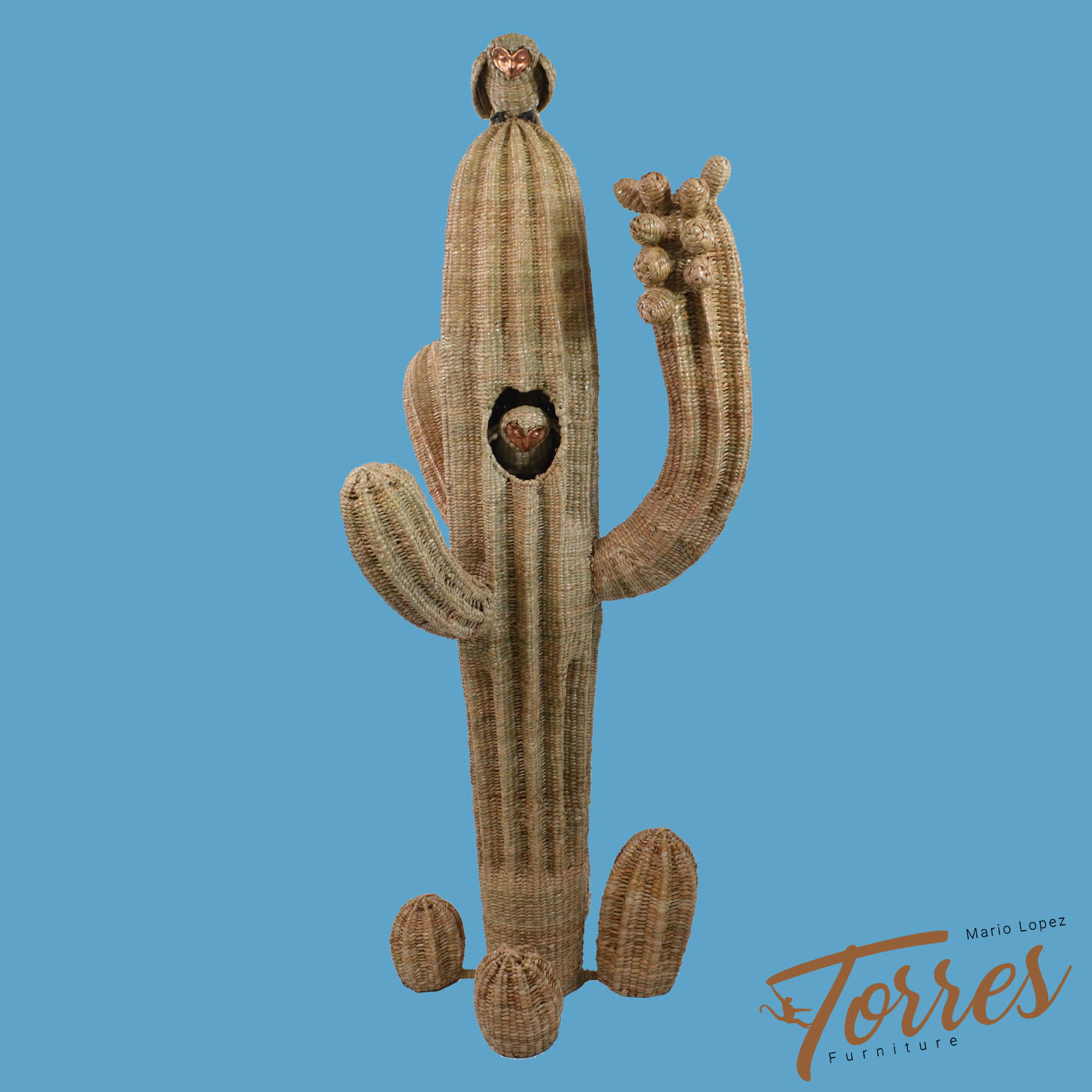 cactus miel Terassens-Morocco daghmous honey Assali  Terassens Provence