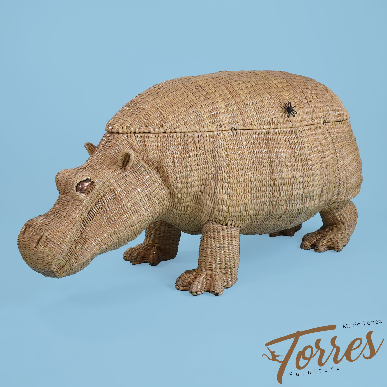 Hippopotamus Trunk by Mario Lopez Torres - Mario Lopez Torres