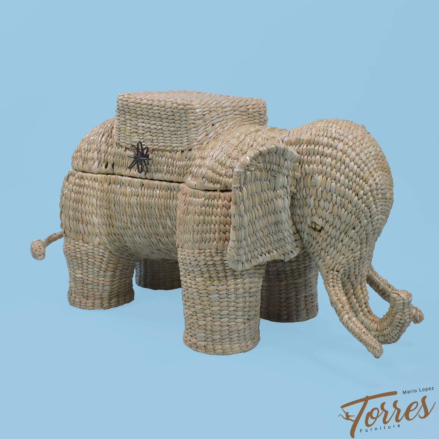 Medium Elephant Trunk - Mario Lopez Torres Medium Elephant Trunk - Mario Lopez Torres