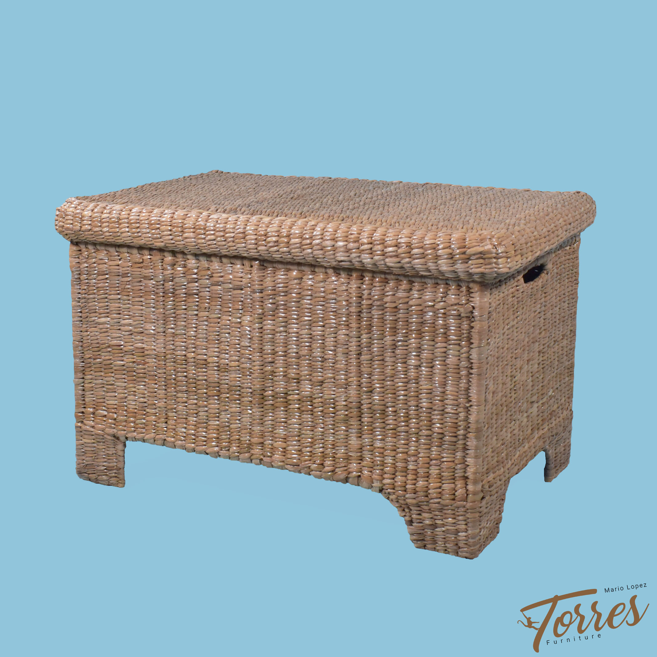 Classic Trunk by Mario Lopez Torres - Mario Lopez Torres